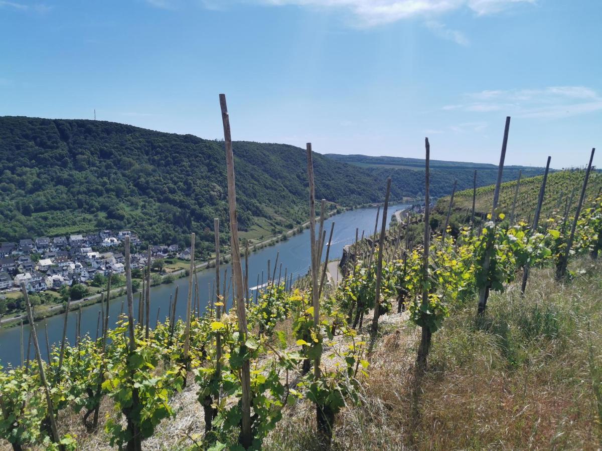 Auszeit Rhein-Mosel Apartamento Waldesch Exterior foto